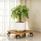 2pack Wood Plant Caddy With Wheels Heavy Duty, 264 Lbs Capacity, Upgraded 12 Inch Acacia Hardwood Plant Dolly, Plant Stand with 360° Lockable Wheels, Plant Caster for Heavy Objects Hauling - Natural Wood