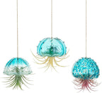 Glasseam Hanging Air Plant Holder: 3Pcs Glass Jellyfish Air Plant Hanger with Jute Ropes for Tillandsia Succulent Houseplants - Cute Airplant Display Container for Indoor Home Decor
