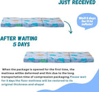 MeMoreCool Foldable Floor Mattress for Kids, Glow Dinosaur Trifold Mat, Kids Folding Mattress Portable Futon, 57x22 Inch Blue