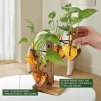 Plant Terrarium Propagation Stations with Wooden Stand, Glass Vase for Indoor Hydroponics Home Garden Office Decoration Gift for Women - 4 Love Bulb Vase