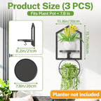 iDavosic.ly Wall Plant Picture Frame Holder Set of 3 for Indoor, Metal Stand with Hanging Hooks, Floating Flower Display Home Decor, Space Saving & Easy to Assemble (Pots/Chains/Plants Not Included)