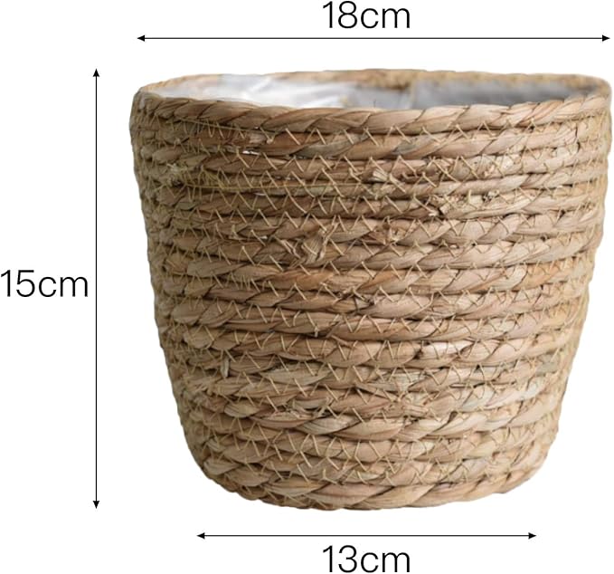 Seagrass Basket Planter, Flower Pot Cover, Storage Basket, Plant Container, Hand Woven, Plastic Liner, Beige, 7 Inch, Indoor/Outdoor