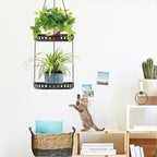 Plant Hanger Indoor Outdoor, 2 Tier Hanging Planter Hanging Plant Shelf, Metal Hanging Plant Holder for Indoor Outdoor Plants