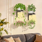 iDavosic.ly Wall Plant Holder with Grow Lights Set of 2 for Indoor Outdoor, Metal Hanger with 2 Hooks, Floating Flower Display Stand for Window, Space Saving & Easy to Assemble (Pots Not Included)