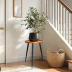 Plant Stand Indoor, Mid Century Wood Plant Table Plant Holder with Raised Design,Heavy Duty Metal Tall Flower Pot Stand, Modern Home Decor Small Round Side End Table(11.8"x16")