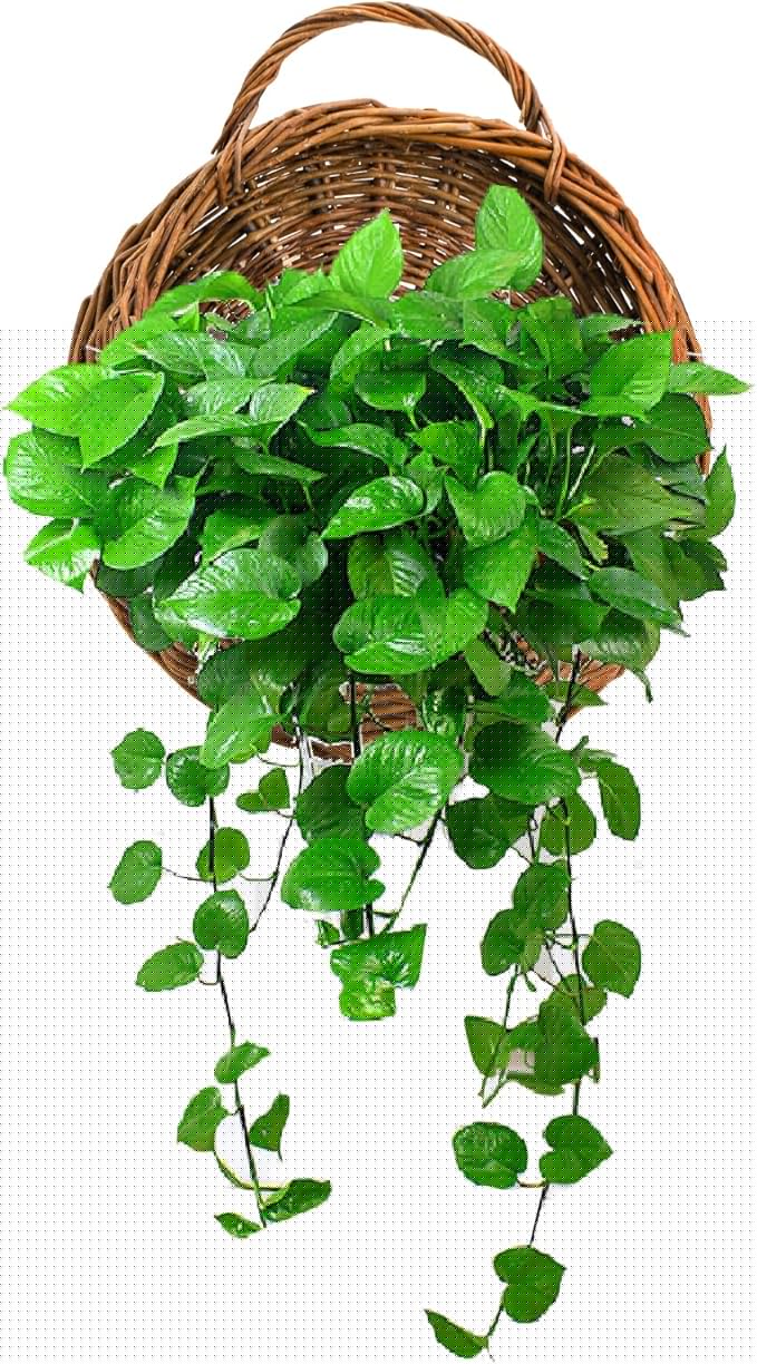 Foraineam Handmade Woven Hanging Basket, Natural Wicker Storage Basket Wall Hanging Flower Pot, Rattan Hanging Planter Container for Home Garden Wedding Wall Decorations