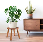 Round Solid Wooden Step Stool， Garden Stool，10''H,Plant Stool ，Wood Legs Detachable for Plant Stand, Kitchen, Bathroom，Bedroom，Livingroom (Walnut, 10inch)
