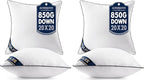 MIULEE 20x20 Pillow Inserts Set of 2 Throw Pillows 20 Inch Premium Down Alternative Pillow Inserts Decorative Pillow Stuffer for Sofa, Couch (20x20 inch, Set of 2) (Pack of 2)