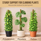 Moss Pole Monstera Plant Support – 2 Pack 28” Bendable Moss Pole Monstera Plant Support, Plant Stakes for Indoor Plants, Tall Plant Sticks Support for Climbing Plants