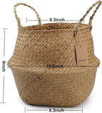 DOKOT Seagrass Plant Basket with Handles, Wicker Woven Storage Basket (8.3inch Diameter x 9inch Height), Natural
