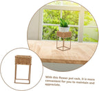 Unomor Boho Wicker Plant Stands Indoor Plant Shelf Small Decorative Tiered Tray for Bonsai Pots Cactus Decorative Pot