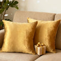2 Pack 22x22 Pillow Cover Velvet Pillow Covers, Square Throw Pillow Covers for Living Room Decorations Throw Pillow Case, Throw Pillow Cover Cushion Cover for Home Sofa Bedroom Car, Golden