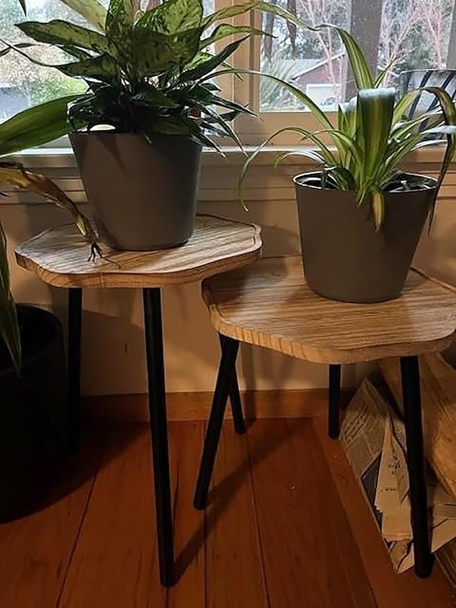 Frcctre 3 Pack Indoor Plant Stand, Wooden Mid Century Plant Stand Tall Plant Table Plant Holder Plant Riser for Flower Pots, Modern Home Decor Octagonal Shape Small Side End Table