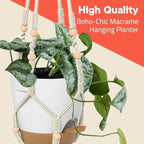Macrame Plant Hangers for Indoor and Outdoor Use, Set of 3 Hanging Plant Pots Holders with Hooks, Ivory Cotton Rope, Tassel-Free, Fits 6" to 10" Pots, Rope Lengths 35", 26", 20", (No Pots Included)