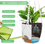 Hanging Planters for Indoor Outdoor Plants, 2 Pack Self Watering Hanging Pots, Hanging Plant Baskets with Drainage Holes & 2 Types of Plant Hangers (Green, 6'')