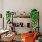 Fake Hanging Plants Vines(8pcs)for Room Decor, Artificial Ivy Greenery Garlands for Home Bedroom Living Aesthetic Kitchen Office Wall Patio Bookshelf,Indoor,Outdoor Farmhouse Decorations(No Basket)