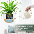 ZMTECH 3 Pack 12 Inch Hanging Planters for Indoor Plants, Large White Self Watering Hanging Planter with Visible Water Level Window & Heavy Duty Chain, Flower Pots for Outdoor Patio
