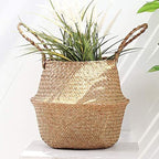 Casaphoria Woven Seagrass Belly Basket for Storage Plant Pot Indoor,Decorative Sturdy and Durable Natural Material Sea Grass Baskets with Handles,Seaweed Round Basket for Organizing(Large)