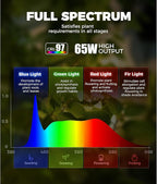 Barrina T1S Standing Grow Light for Indoor Plants with Timer, 65W 5000K High PPFD Tera Series Vertical Full Spectrum Grow Lights Adjustable Height 5FT-5.6FT, Foot Switch, Non-Glare Design, Silver