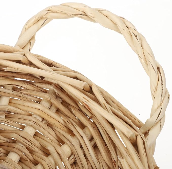 2Pcs Woven Hanging Basket Decorative Wall Hanging Flower Baskets Handwoven Plant Holder with Handle for Home and Garden Plant Display and Storage Stylish Plant Baskets