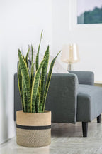 Dahey Jute Rope Plant Basket Modern Woven Storage Basket for 12" Indoor Planter, Decorative Flower Pots Cover Laundry Bin with Handle Rustic Home Decor, Black