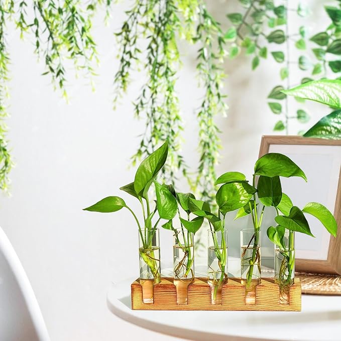 Plant Propagation Station, Plant Terrarium with Wooden Stand, Plants Pots for Hydroponics, Small Birthday Gardening Gifts for Women Mom Plants Lovers Unique - 5 Glass Test Tubes Vases