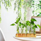 Plant Propagation Station, Plant Terrarium with Wooden Stand, Plants Pots for Hydroponics, Small Birthday Gardening Gifts for Women Mom Plants Lovers Unique - 5 Glass Test Tubes Vases