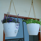 10 Inch Self Watering Hanging Pots, 2 Pack Hanging Planters with 40oZ Deep Reservior for Indoor Outdoor Plants Flowers, White