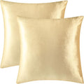 2 Pack 16x16 Pillow Cover Velvet Pillow Covers, Square Throw Pillow Covers for Living Room Decorations Throw Pillow Case, Throw Pillow Cover Cushion Cover for Home Sofa Bedroom Car, Champagne