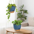 ZMTECH Hanging Planter 8 Inch, 2 Pack Hanging Baskets for Plants Indoor, Hanging Flower Pots with Drainage Hole, Visual Reservoir & Plant Hangers for Outdoor Garden Home Decor