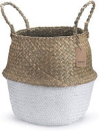 Seagrass Plant Basket with Handles, Natural Woven Storage Baskets (White M (8.3" D x 9" H))