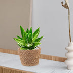 Veemoon 2pcs Wicker Planter Basket, Rustic Straw Woven Flower Basket Arrangement Flower for Plants Laundry Bin Storage Woven Plant Pot Hanging Seaweed Girl Toddler Hanging Seaweed 7. 07x7. 07x5. 89in