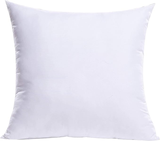MIULEE Throw Pillow Insert Premium Pillow Stuffer Sham Square for Decorative Cushion Bed Couch Sofa 22x22 Inch