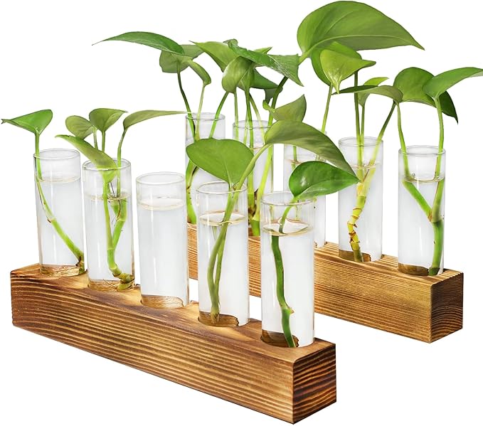 Plant Propagation Station, Plant Terrarium with Wooden Stand for Hydroponics Plants Office Decor Unique Gardening Gifts for Women Plants Lovers - 10 Glass Test Tube Vases
