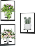 Black Metal Wall Plant Holder - 3-Pack Wall Mounted Plant Stands and Hanging Holders for Indoor Planter and Flower Pot -Rectangle Decor Shelf for Plant Storage (Pot Not Included)