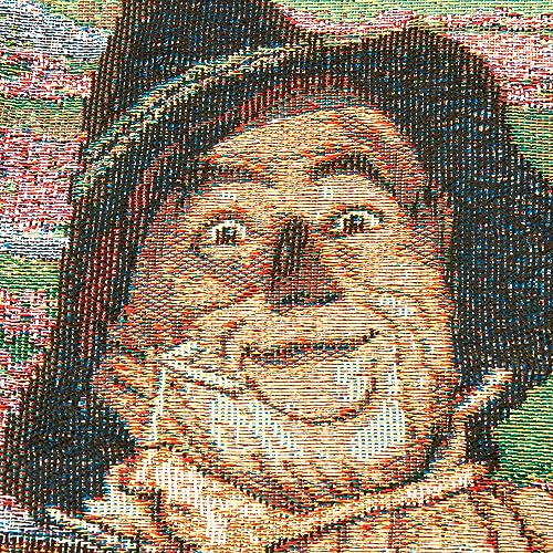 NORTHWEST Warner Brothers Wizard of Oz, 'Group' Woven Tapestry Throw Blanket, 48" x 60", Multi Color