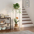 Plant Stand Indoor Corner Tall 2 Tier Metal Modern Flower Storage Plant Shelf Holder for Living Room Balcony Garden,White (2 Tier-White Round)