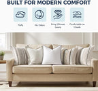 MIULEE 22x22 Pillow Inserts, Fluffy Down Alternative Filling Pack of 2 Ultra Soft Throw Pillows for Bed Sofa Couch