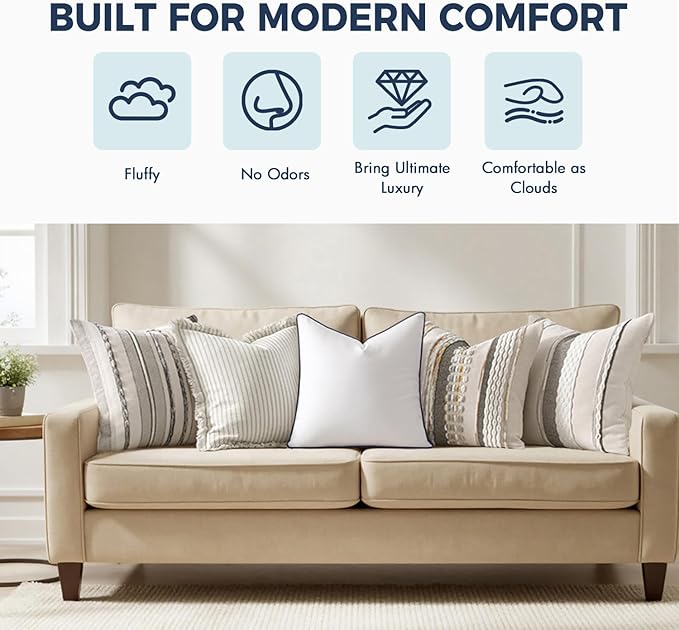 MIULEE 22x22 Pillow Inserts, Fluffy Down Alternative Filling Pack of 2 Ultra Soft Throw Pillows for Bed Sofa Couch