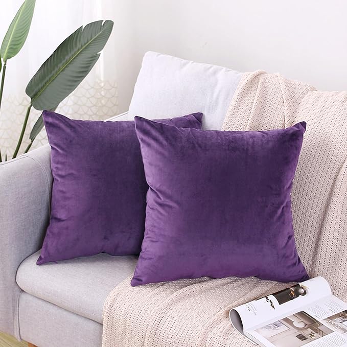 2 Pack Soft Velvet Couch Throw Pillow Covers 16x16 Inch for Sofa Living Room Bedroom (Purple)