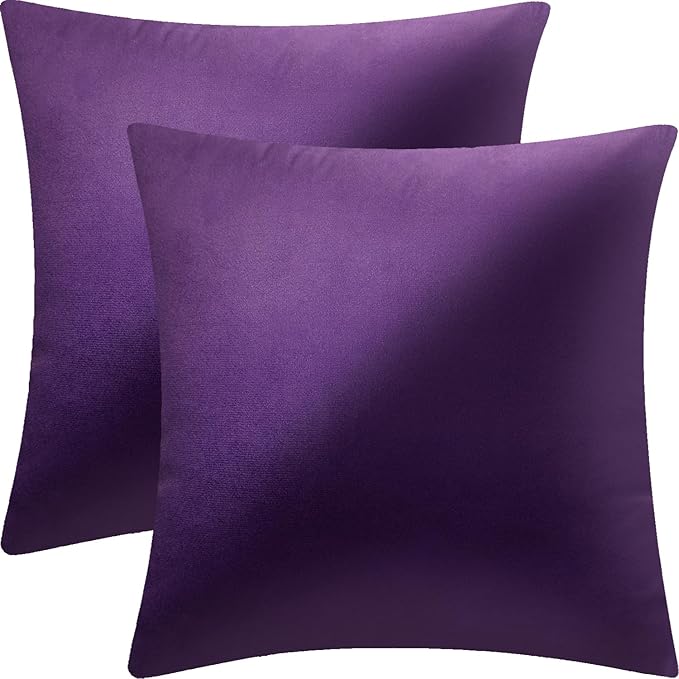 2 Pack 20x20 Pillow Cover Velvet Pillow Covers, Square Throw Pillow Covers for Living Room Decorations Throw Pillow Case, Throw Pillow Cover Cushion Cover for Sofa Bedroom Car, Eggplant Purple
