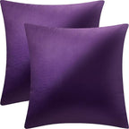 2 Pack 22x22 Pillow Cover Velvet Pillow Covers, Square Throw Pillow Covers for Living Room Decorations Throw Pillow Case, Throw Pillow Cover Cushion Cover for Sofa Bedroom Car, Eggplant Purple