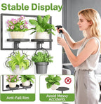iDavosic.ly Wall Plant Picture Frame Holder with 2 Trays for Indoor, Metal Stand with Hanging Hooks, Floating Flower Display Decor, Space Saving & Easy to Assemble (Pots/Chains/Plants Not Included)