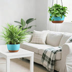 Set of 2 Hanging Planters for Indoor Outdoor Plants, 8 Inch Self-Watering Hanging Flower Pots with Drainage Hole & Removable Water-Storage Tray (Hooks)