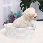 ABenkle Small Basket with Handles, Boho Decorative Rope Woven Dog Cat Toy Storage Bin Shelf Storage Organizer, Easter Christmas Gift Basket, 12"x8"x5", 2 Pack