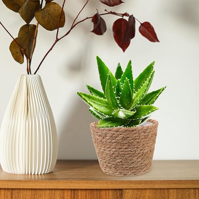 Veemoon 2pcs Wicker Planter Basket, Rustic Straw Woven Flower Basket Arrangement Flower for Plants Laundry Bin Storage Woven Plant Pot Hanging Seaweed Girl Toddler Hanging Seaweed 7. 07x7. 07x5. 89in
