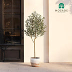 Artificial Olive Tree 6FT – Tall Faux Tree with Realistic Silk Leaves, Handmade Seagrass Basket, Low-Maintenance Large Fake Plants for Modern Office, Floor & Home Decor, Living Room, Indoor Plants