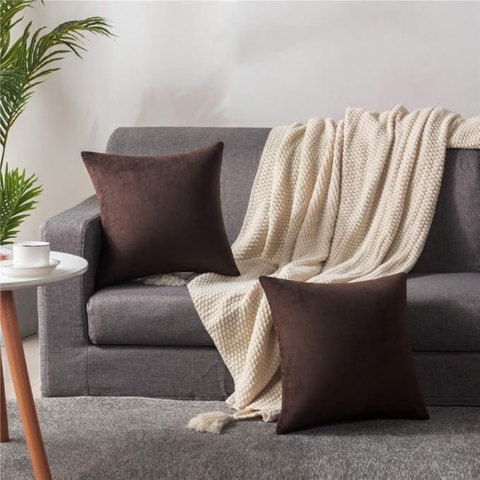 Throw Pillow Covers 16x16 Chocolate Brown: Pack of 2 Cozy Soft Velvet Square Modern Luxury Decorative Throw Pillow Cases for Sofa Couch Living Room Bed Home Decor