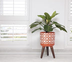 D'vine Dev 8 Inch Planter Pot with Stand, Mid-Century Tall Plant Pot with Legs for Indoor Plants, Pottery Red Terracotta/White, 88-G-A-5