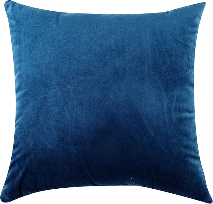 NiNi ALL Decorative Throw Pillow Covers Velvet 24x24 Inch Pack of 2 Blue Cushion Covers Soft for Couch Sofa Bedroom Living Room Outdoor
